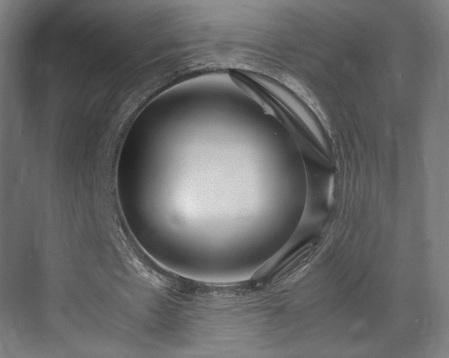 X0000071900481200607141338