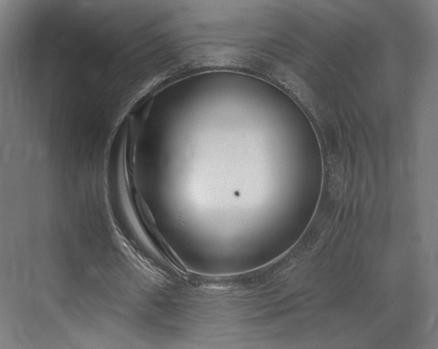 X0000071900482200607141338