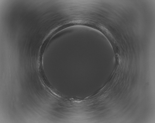 X0000071900484200607141338