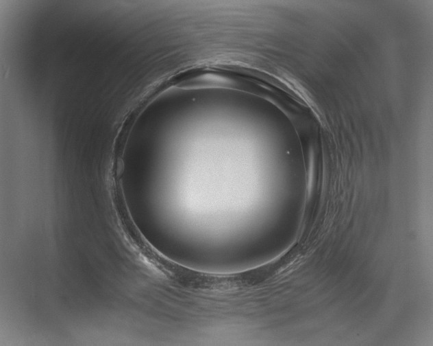 X0000071900485200607141338