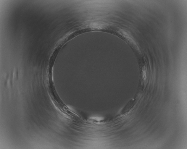X0000071900492200607141338