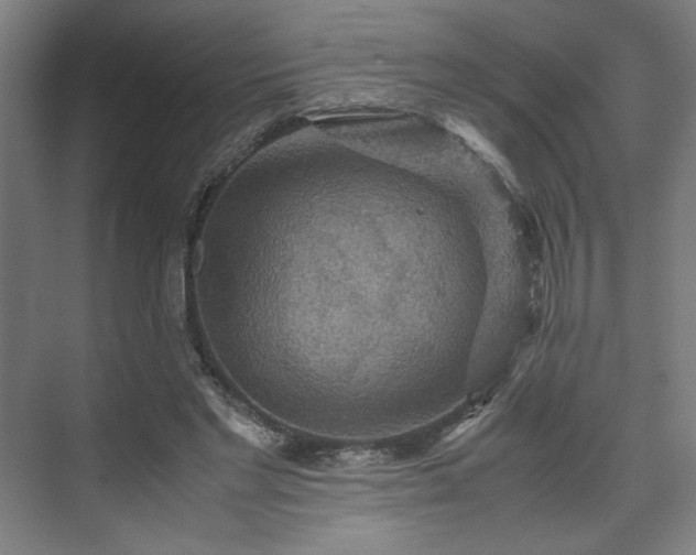 X0000071900493200607141338