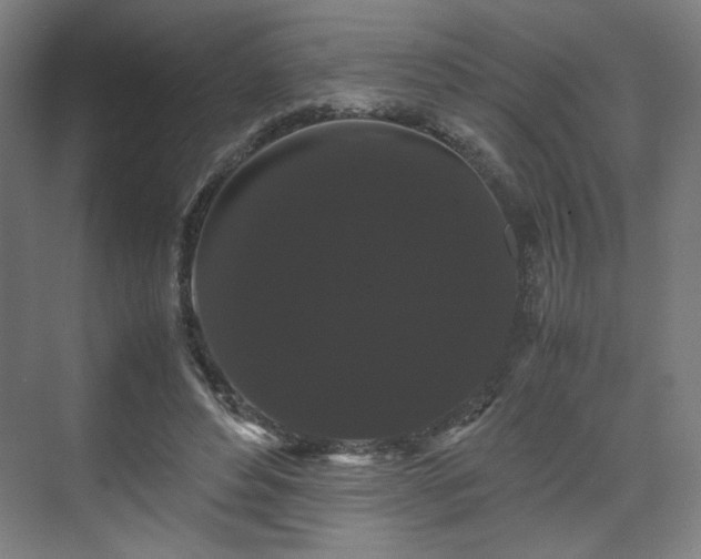 X0000071900496200607141338
