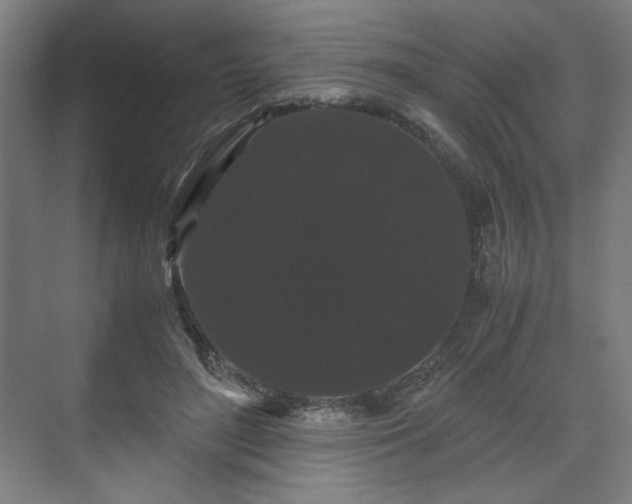 X0000071900500200607141338