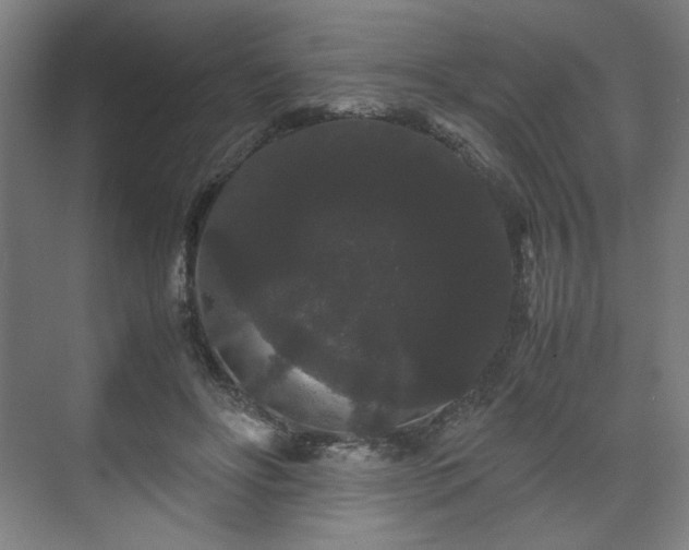 X0000071900502200607141338