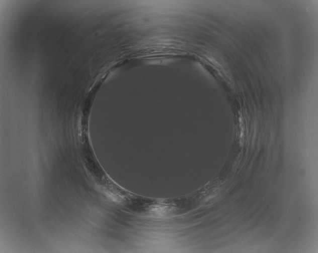 X0000071900504200607141338