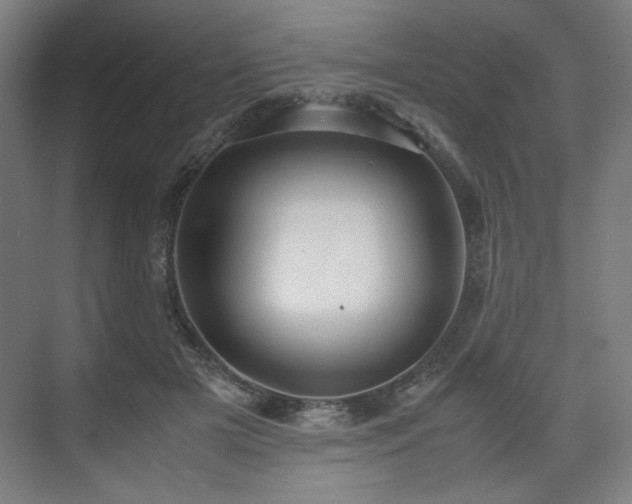 X0000071900505200607141338
