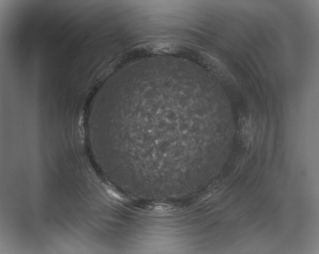 X0000071900506200607141338