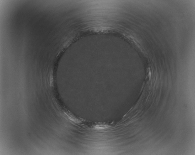 X0000071900508200607141338