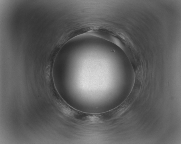 X0000071900509200607141338
