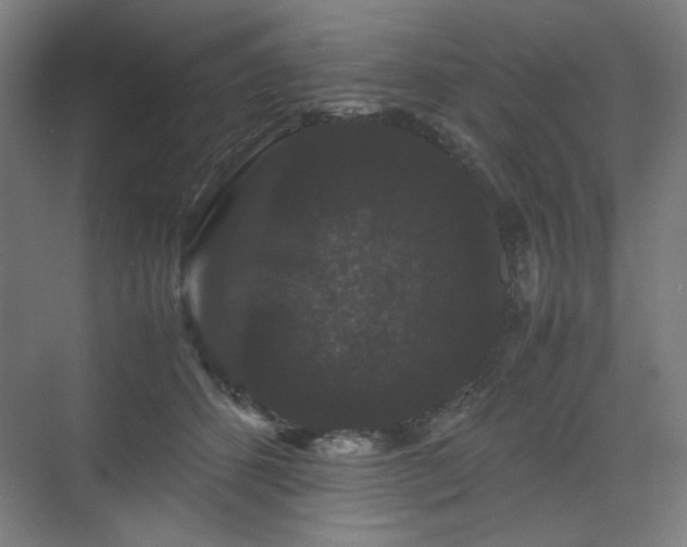 X0000071900512200607141338