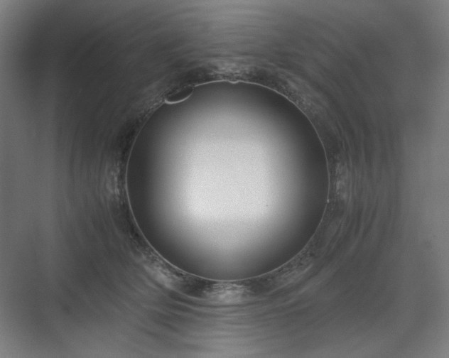 X0000071900514200607141338