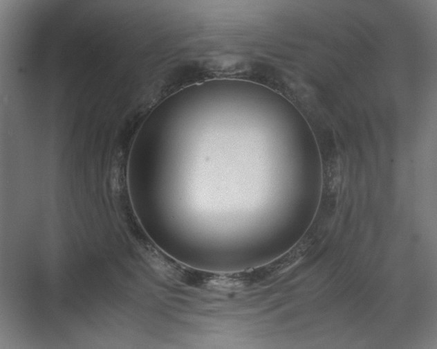 X0000071900515200607141338