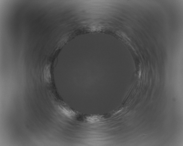 X0000071900516200607141338