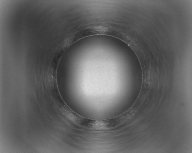 X0000071900518200607141338