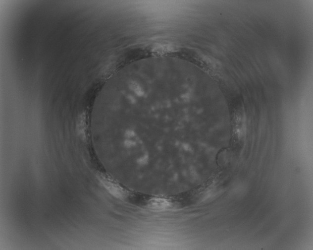 X0000071900519200607141338