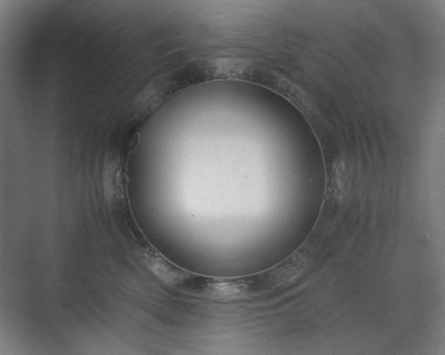 X0000071900522200607141337