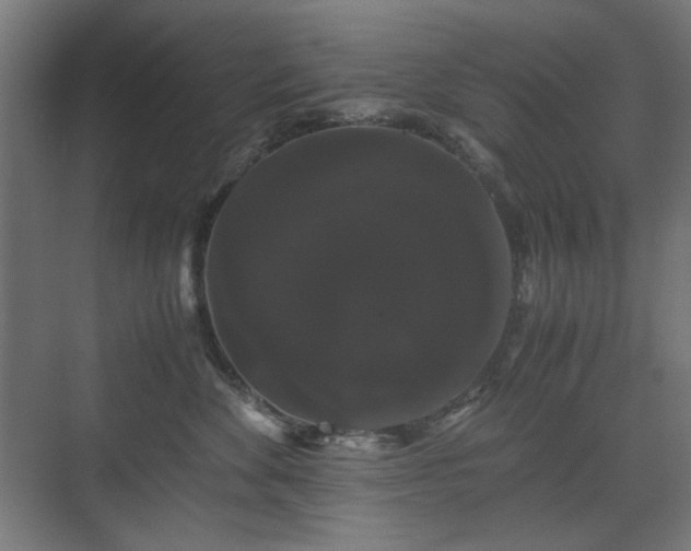 X0000071900524200607141337