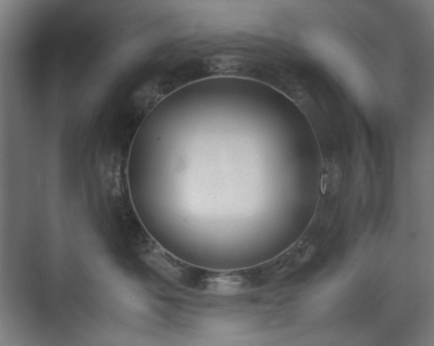 X0000071900525200607141337