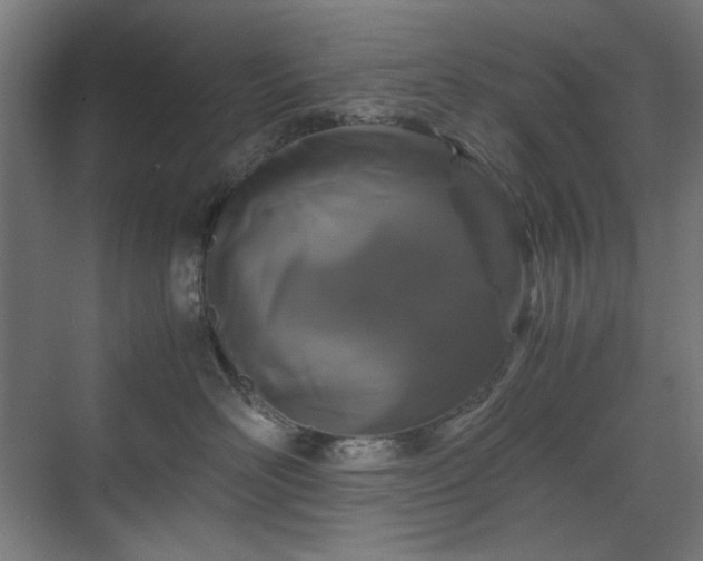 X0000071900526200607141337