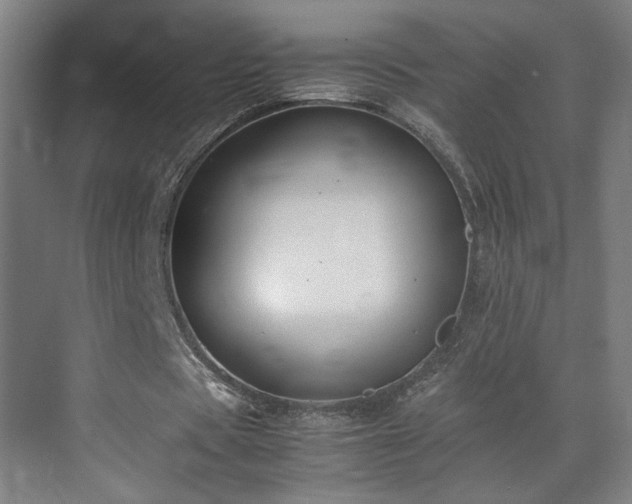 X0000071900529200607141337