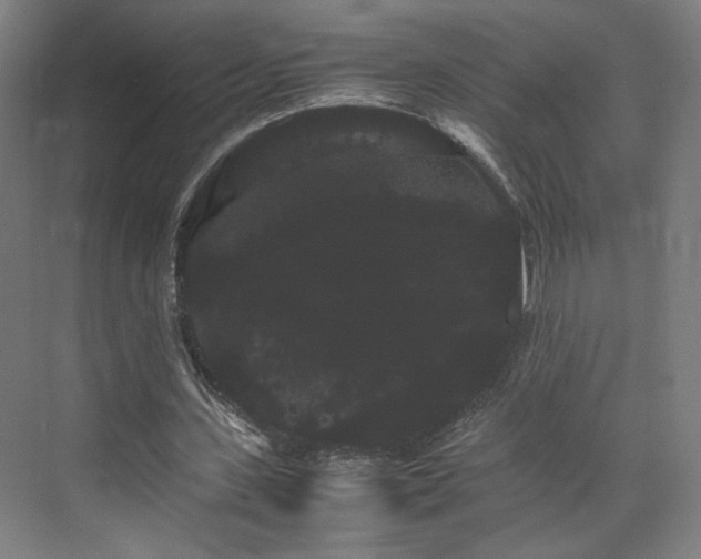 X0000071900531200607141337