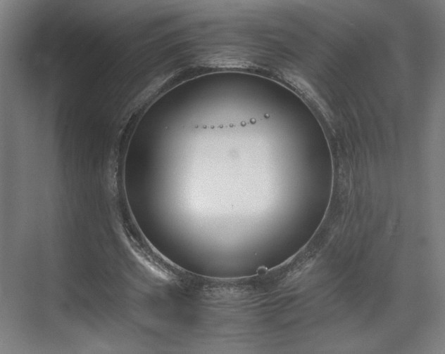 X0000071900533200607141337