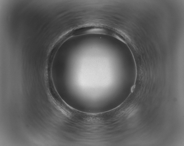 X0000071900535200607141337