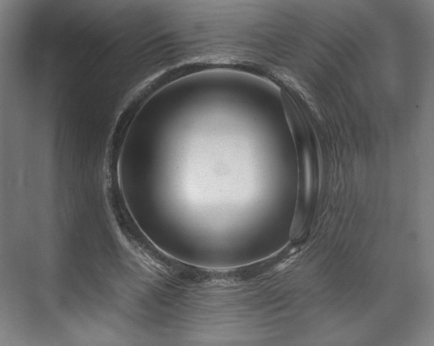 X0000071900536200607141337