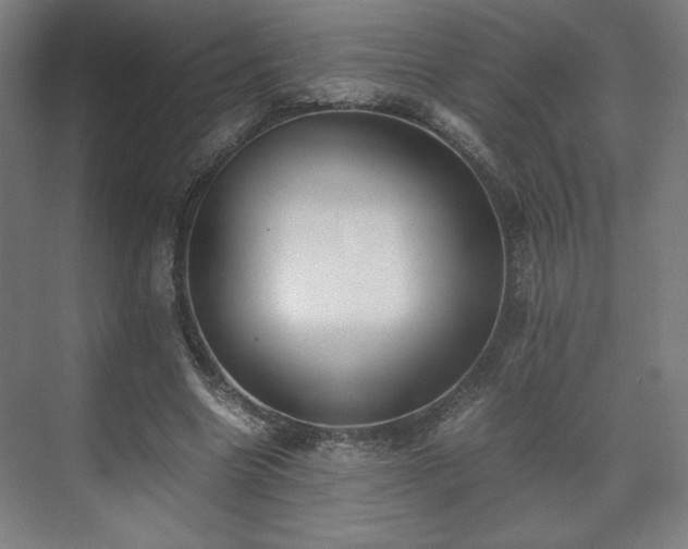 X0000071900538200607141337