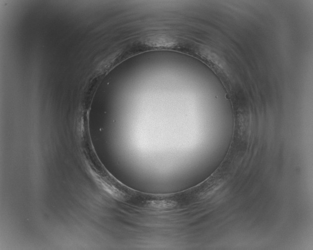 X0000071900541200607141337