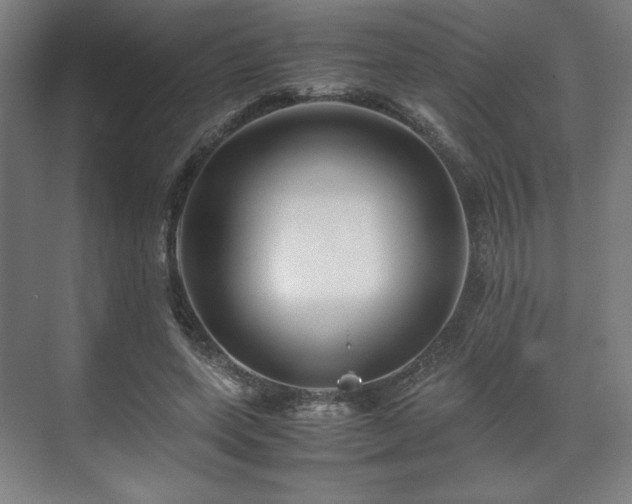 X0000071900543200607141337