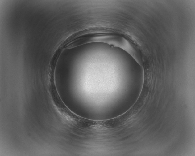 X0000071900544200607141337
