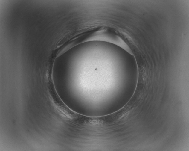 X0000071900546200607141337