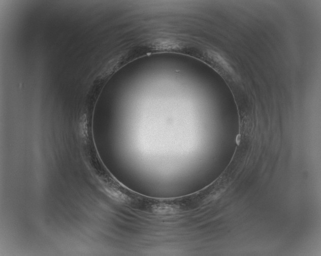 X0000071900549200607141337
