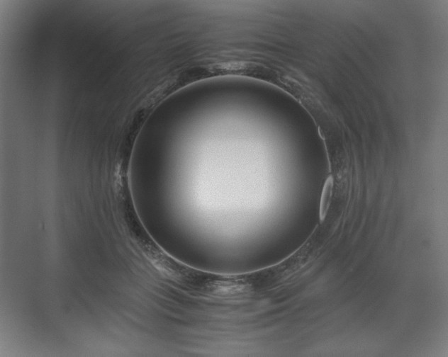 X0000071900555200607141337