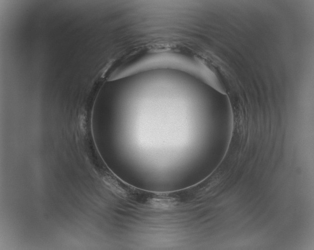 X0000071900556200607141337