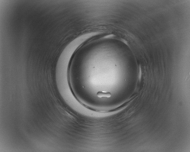 X0000071900558200607141337