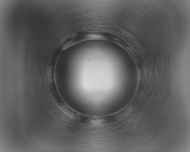 X0000071900560200607141337