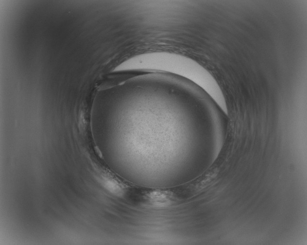 X0000071900566200607141337