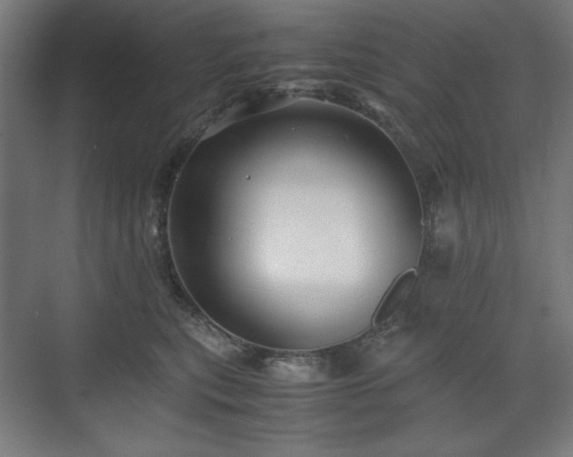 X0000071900567200607141337