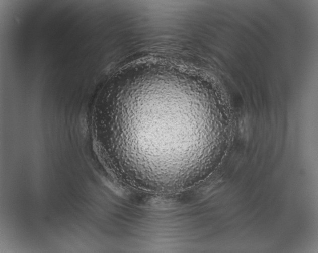 X0000071900568200607141337