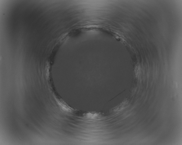 X0000071900570200607141337