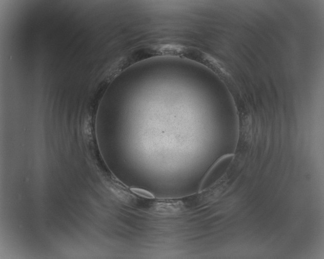 X0000071900571200607141337