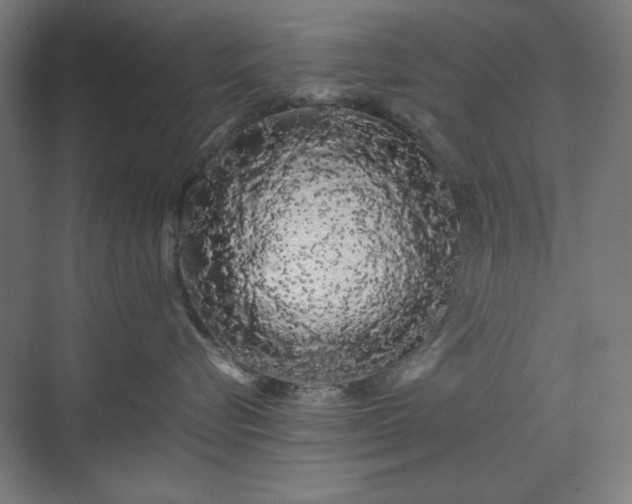 X0000071900576200607141337