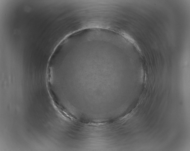 X0000071900580200607141336