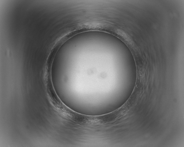 X0000071900583200607141336