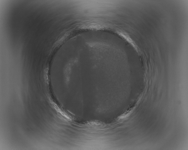 X0000071900585200607141336