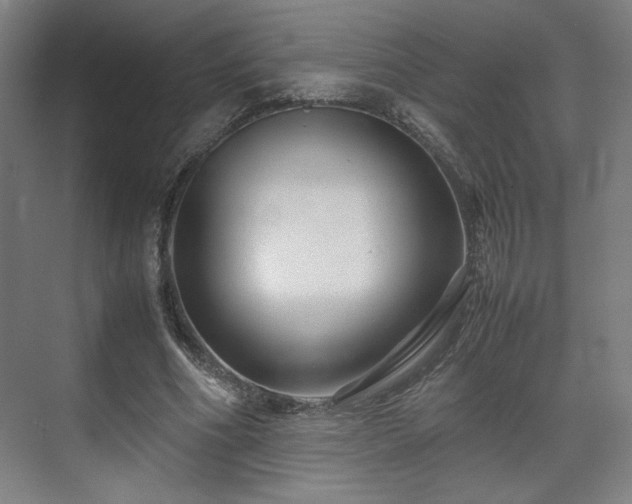 X0000071900586200607141336