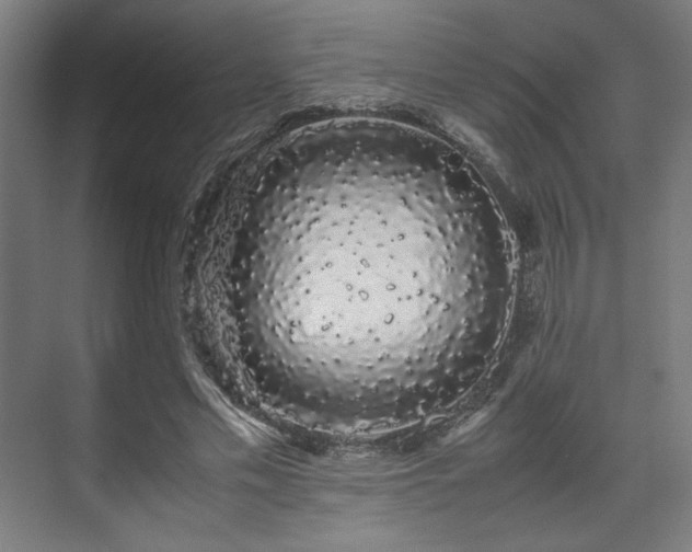 X0000071900589200607141336